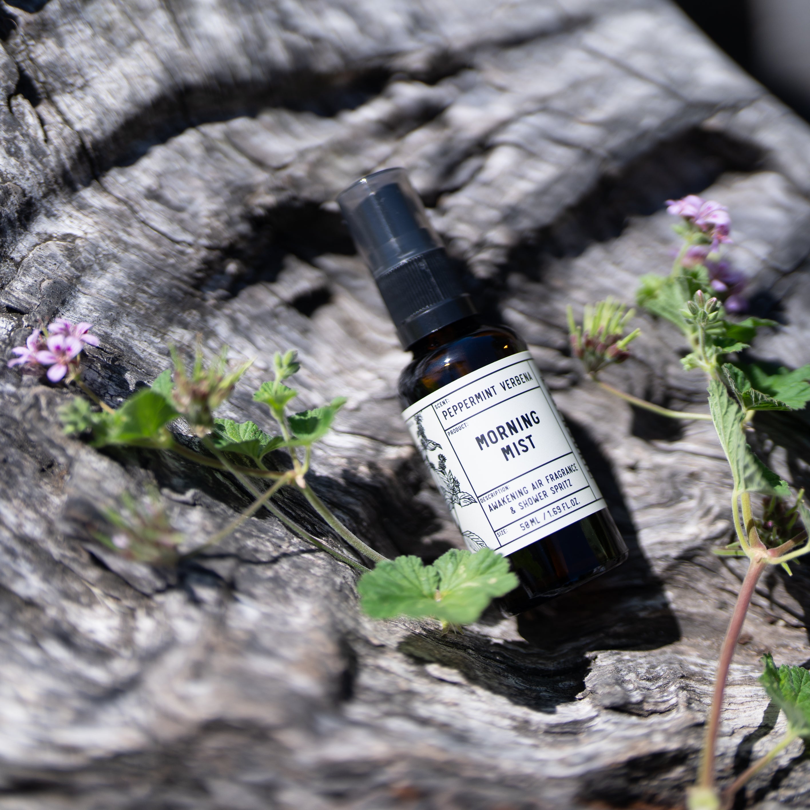 Peppermint Verbena