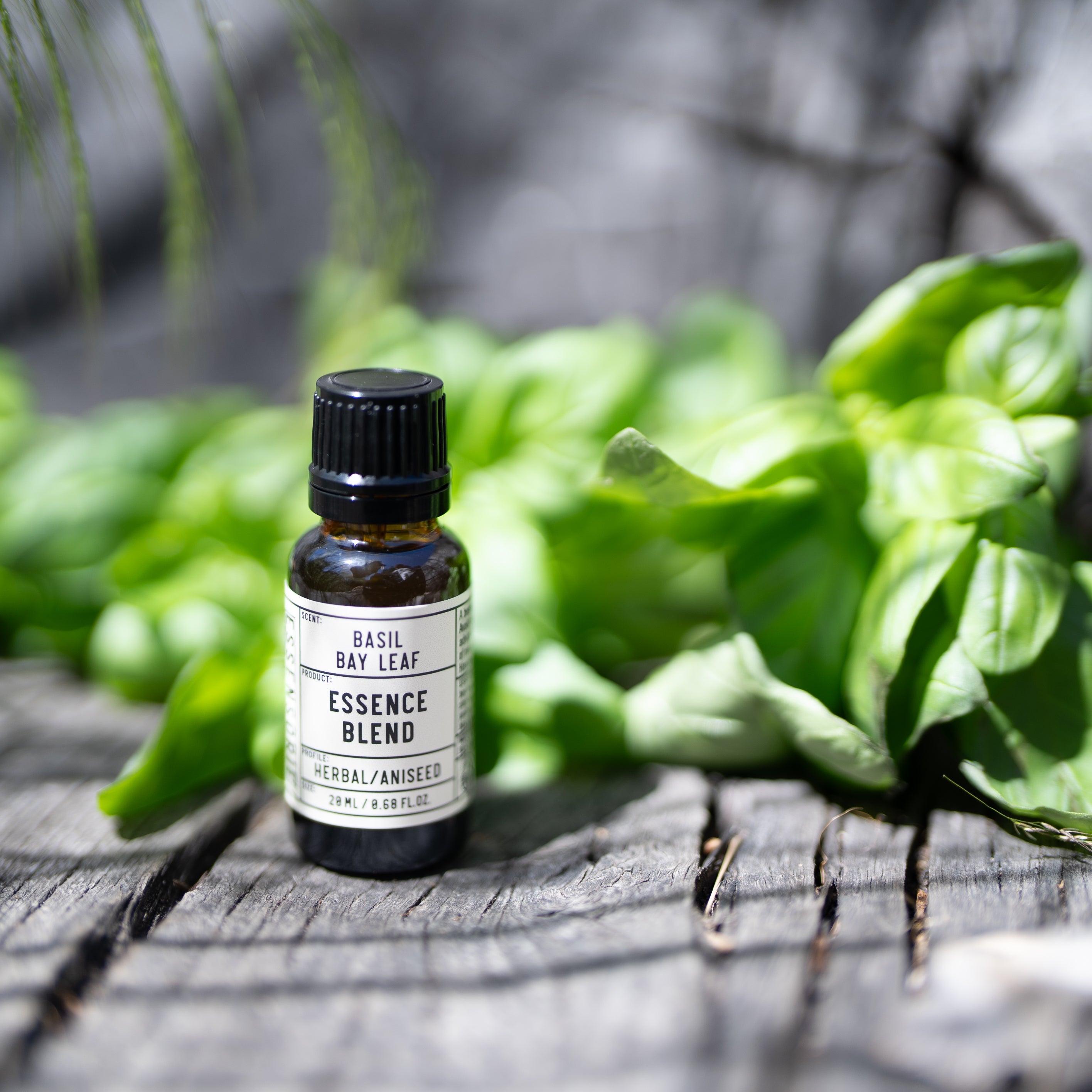Basil Bay Leaf
