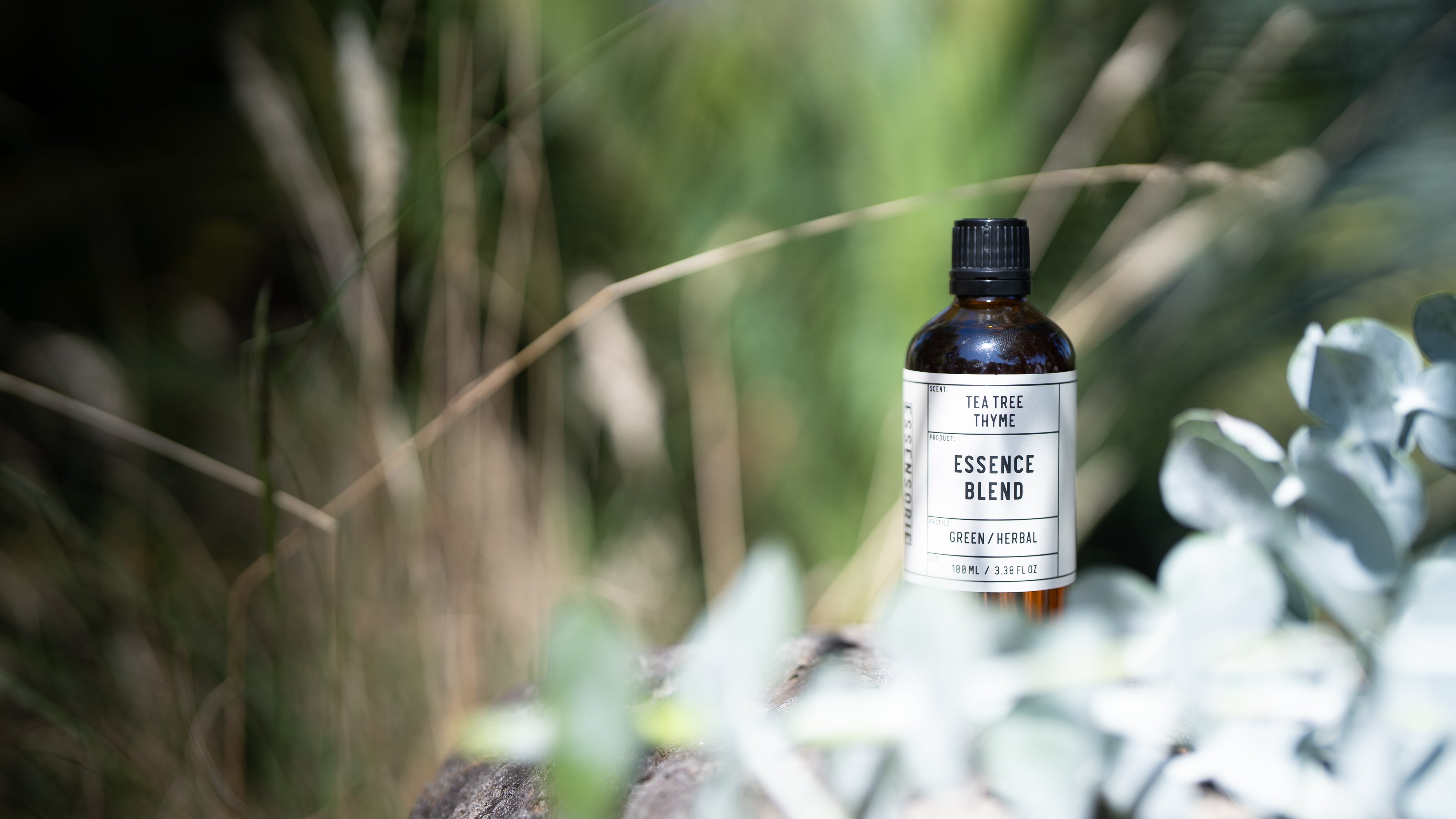 Tea Tree Thyme
