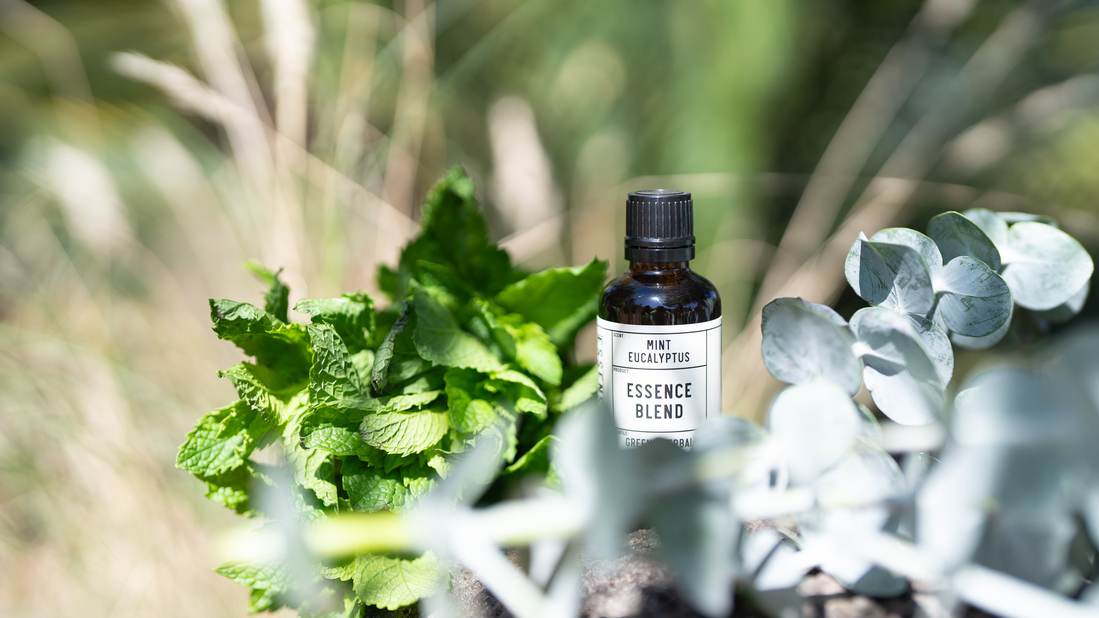 Mint Eucalyptus