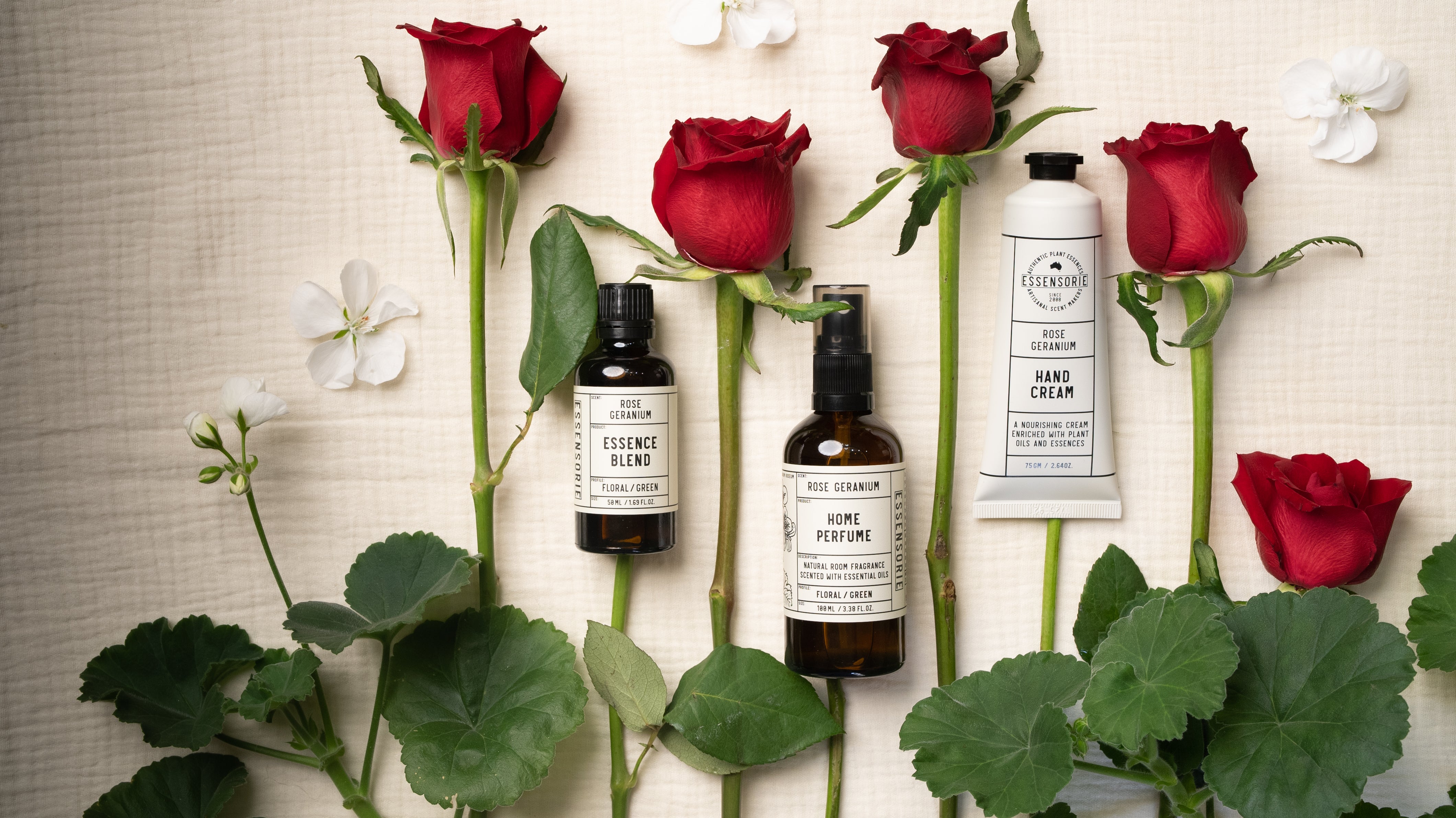 Rose Geranium